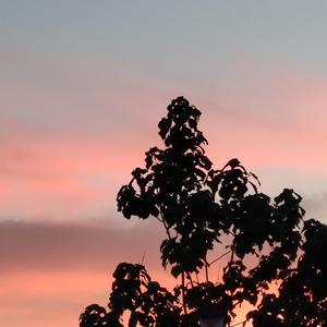 少妇做爰喜欢又大又粗
